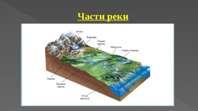 Части реки 