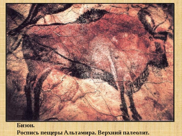 Бизон.  Роспись пещеры Альтамира. Верхний палеолит. 