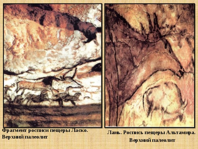 Фрагмент росписи пещеры Ласко.  Верхний палеолит   Лань. Роспись пещеры Альтамира.  Верхний палеолит   