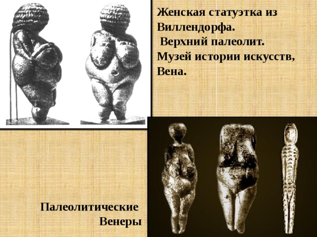 Женская статуэтка из Виллендорфа.  Верхний палеолит.  Музей истории искусств, Вена. Палеолитические  Венеры 