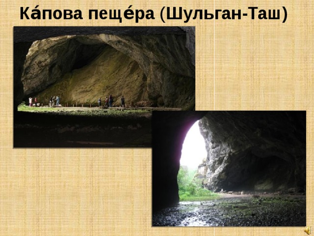 Ка́пова пеще́ра  ( Шульган-Таш) 