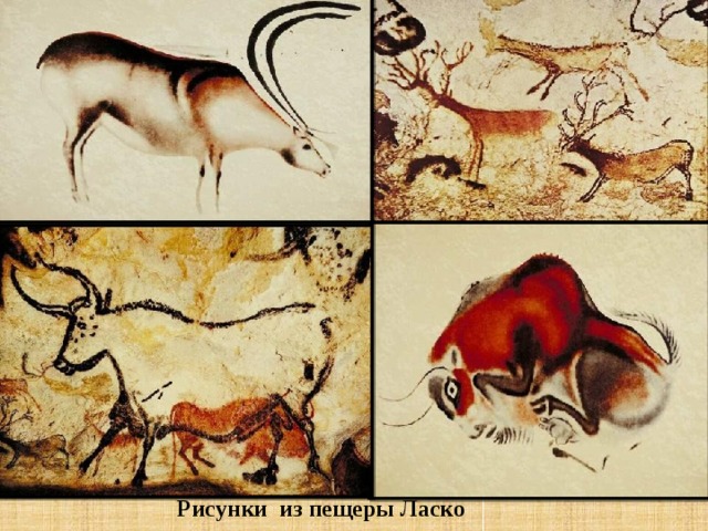 Рисунки из пещеры Ласко 