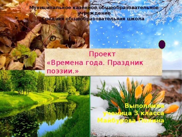 Выполнила ученица 3 класса Майбурова Полина Муниципальное казённое общеобразовательное учреждение Средняя общеобразовательная школа проект Проект «Времена года. Праздник поэзии.»  времена  года 