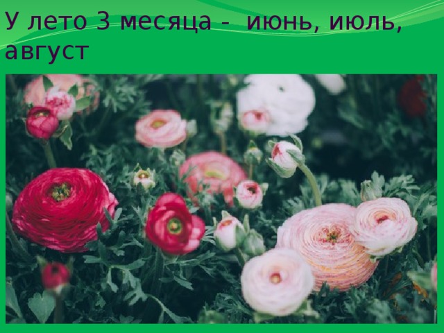 У лето 3 месяца - июнь, июль, август 