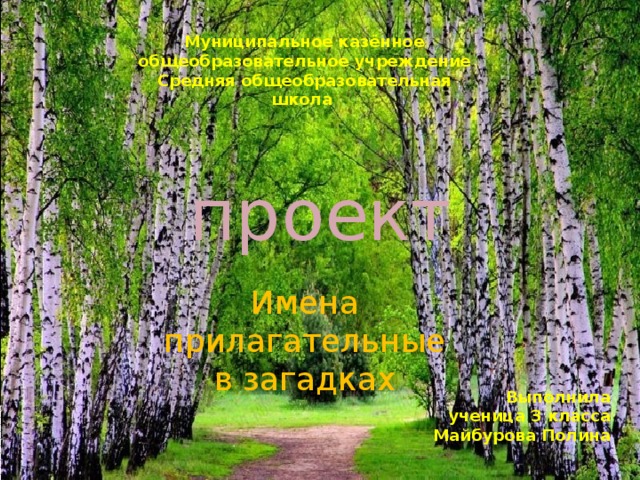 Муниципальное казённое общеобразовательное учреждение Средняя общеобразовательная школа проект Имена прилагательные в загадках Выполнила ученица 3 класса Майбурова Полина 