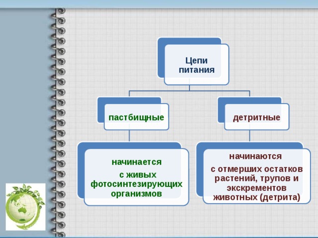    Цепи питания пастбищные детритные начинаются начинается  с живых фотосинтезирующих организмов с отмерших остатков растений, трупов и экскрементов животных (детрита) 10 