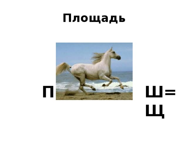 Площадь П Ш=Щ 