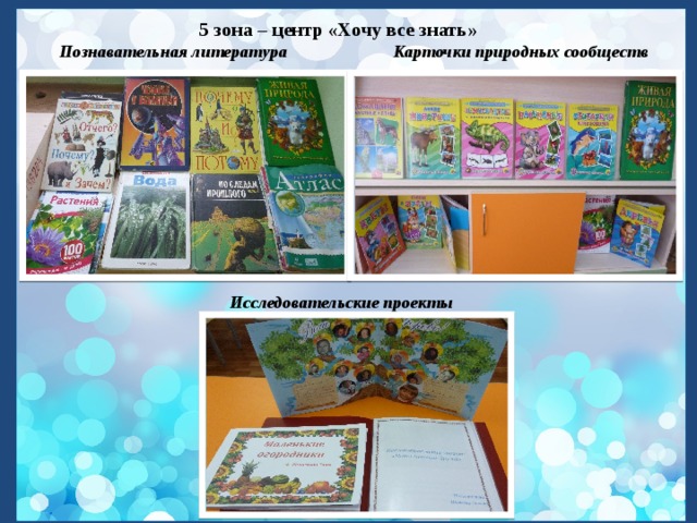   5 зона – центр «Хочу все знать» Познавательная литература Карточки природных сообществ            Исследовательские проекты 
