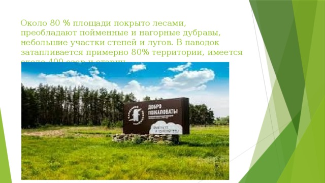 Около 80 % площади покрыто лесами, преобладают пойменные и нагорные дубравы, небольшие участки степей и лугов. В паводок затапливается примерно 80% территории, имеется около 400 озер и стариц. 