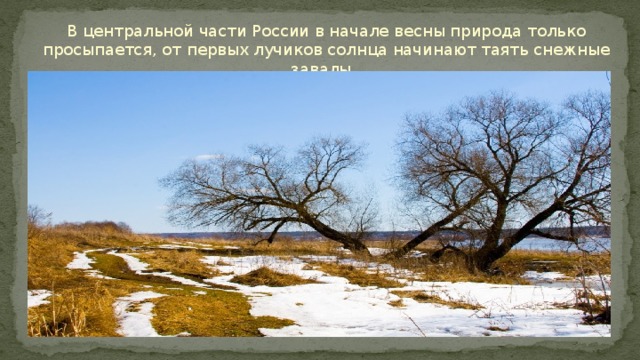 В центральной части России в начале весны природа только просыпается, от первых лучиков солнца начинают таять снежные завалы. 