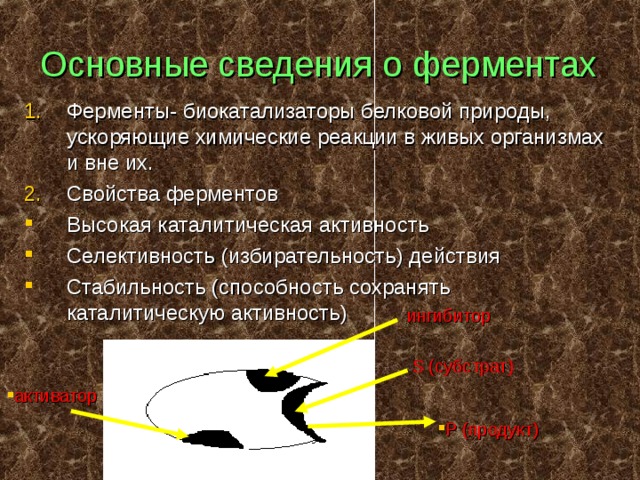 Основные сведения о ферментах Ферменты- биокатализаторы белковой природы, ускоряющие химические реакции в живых организмах и вне их. Свойства ферментов Высокая каталитическая активность Селективность (избирательность) действия Стабильность (способность сохранять каталитическую активность) ингибитор S (субстрат) активатор Р (продукт) 