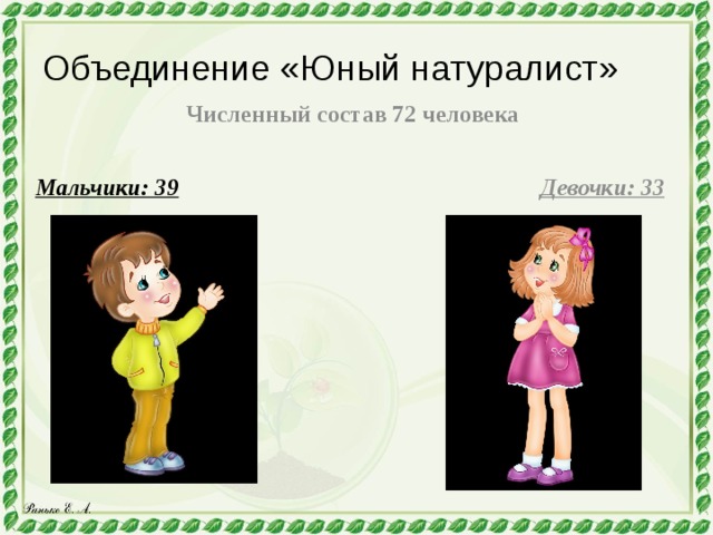 Объединение «Юный натуралист» Численный состав 72 человека Мальчики: 39 Девочки: 33 