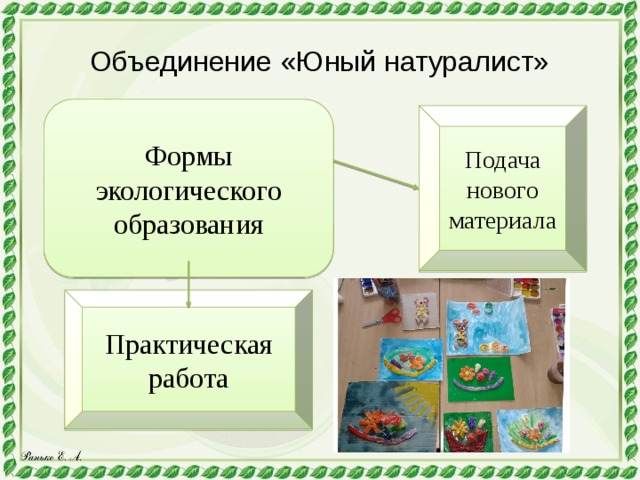 Объединение «Юный натуралист» Формы экологического образования Подача нового материала Практическая работа 