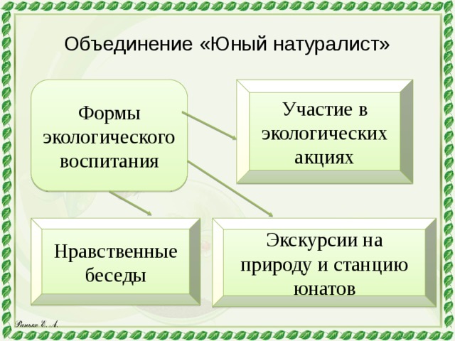 Объединение «Юный натуралист» Формы экологического воспитания Участие в экологических акциях Нравственные беседы Экскурсии на природу и станцию юнатов 