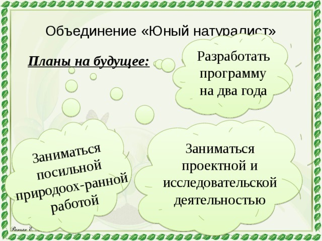 Заниматься посильной природоох-ранной работой Объединение «Юный натуралист» Разработать программу на два года Планы на будущее: Заниматься проектной и исследовательской деятельностью 