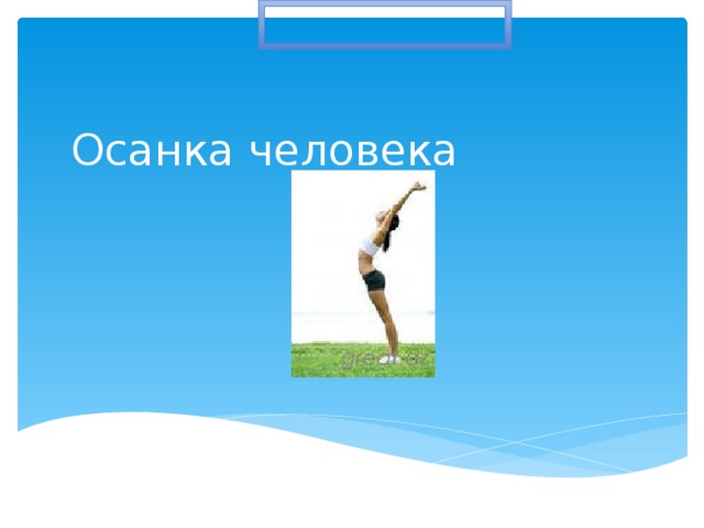 Осанка человека 