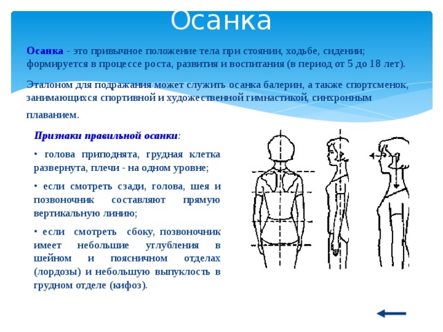 Осанка Осанка - это привычное положение тела при стоянии, ходьбе, сидении; формируется в процессе роста, развития и воспитания (в период от 5 до 18 лет). Эталоном для подражания может служить осанка балерин, а так­же спортсменок, занимающихся спортивной и художественной гимнастикой, синхронным плаванием.  Признаки правильной осанки : • голова приподнята, грудная клетка развернута, плечи - на одном уровне;  • если смотреть сзади, голова, шея и позвоночник составляют прямую вертикальную линию; • если смотреть сбоку, позво­ночник имеет небольшие углубления в шейном и поясничном отделах (лордозы) и небольшую выпуклость в грудном отделе (кифоз). 