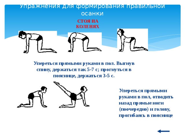 Упражнения для формирования правильной осанки СТ ОЯ НА КОЛЕНЯХ Упереться прямыми руками в пол. Выгнув спину, держаться так 5-7 с; прогнуться в пояснице, держаться 3-5 с.   Упереться прямыми руками в пол, отводить назад прямые ноги (поочередно) и голову, прогибаясь в пояснице  