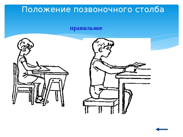 Положение позвоночного столба правильное 