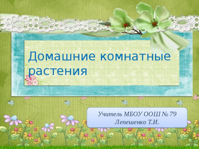 Домашние комнатные растения Учитель МБОУ ООШ № 79 Лепешенко Т.И. 