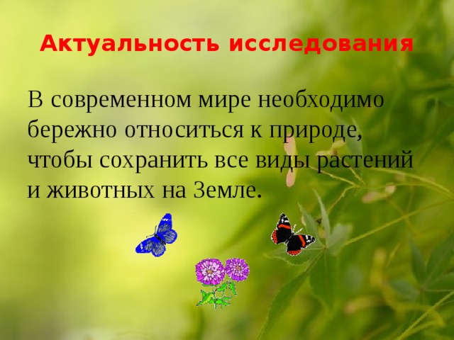 Актуальность исследования В современном мире необходимо бережно относиться к природе, чтобы сохранить все виды растений и животных на Земле. 