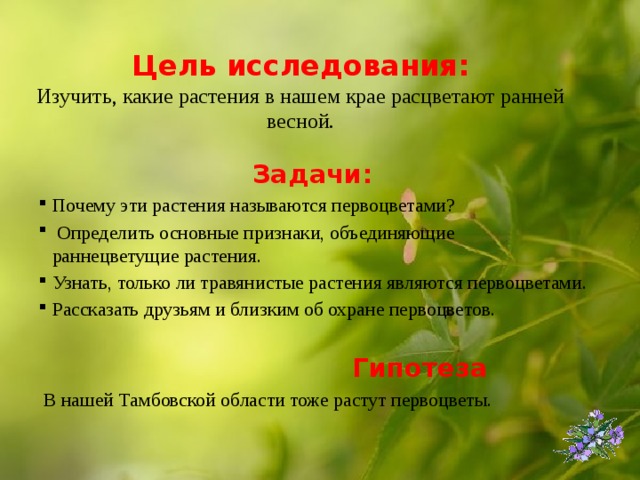 Цель исследования:  Изучить, какие растения в нашем крае расцветают ранней весной. Задачи: Почему эти растения называются первоцветами?  Определить основные признаки, объединяющие раннецветущие растения. Узнать, только ли травянистые растения являются первоцветами. Рассказать друзьям и близким об охране первоцветов.  Гипотеза  В нашей Тамбовской области тоже растут первоцветы. 