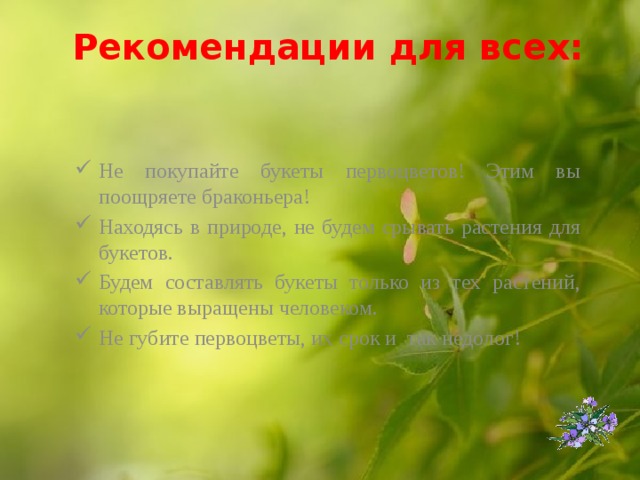 Рекомендации для всех:   Не покупайте букеты первоцветов! Этим вы поощряете браконьера! Находясь в природе, не будем срывать растения для букетов. Будем составлять букеты только из тех растений, которые выращены человеком. Не губите первоцветы, их срок и так недолог!  