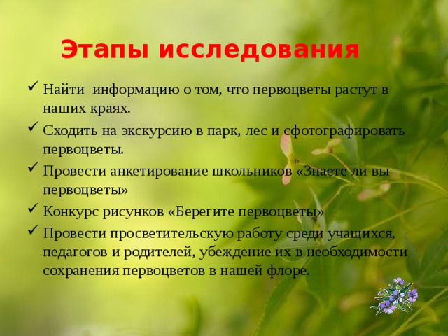 Этапы исследования Найти информацию о том, что первоцветы растут в наших краях. Сходить на экскурсию в парк, лес и сфотографировать первоцветы. Провести анкетирование школьников «Знаете ли вы первоцветы» Конкурс рисунков «Берегите первоцветы» Провести просветительскую работу среди учащихся, педагогов и родителей, убеждение их в необходимости сохранения первоцветов в нашей флоре. 