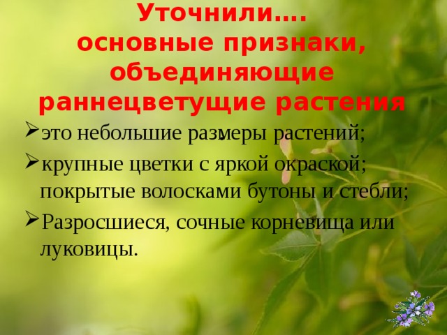 Уточнили….  основные признаки, объединяющие раннецветущие растения  . это небольшие размеры растений; крупные цветки с яркой окраской; покрытые волосками бутоны и стебли; Разросшиеся, сочные корневища или луковицы. 