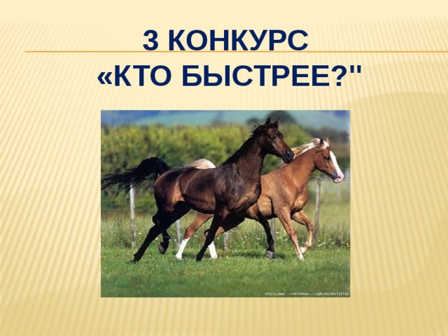 3 Конкурс  «кто быстрее?