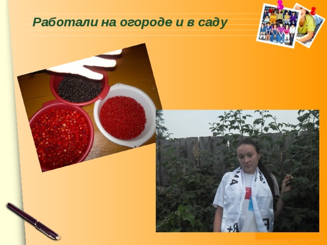  Работали на огороде и в саду    