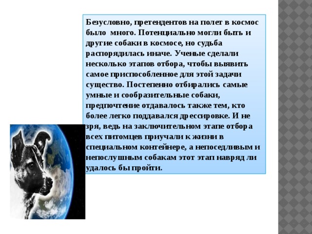 Безусловно, претендентов на полет в космос было много. Потенциально могли быть и другие собаки в космосе, но судьба распорядилась иначе. Ученые сделали несколько этапов отбора, чтобы выявить самое приспособленное для этой задачи существо. Постепенно отбирались самые умные и сообразительные собаки, предпочтение отдавалось также тем, кто более легко поддавался дрессировке. И не зря, ведь на заключительном этапе отбора всех питомцев приучали к жизни в специальном контейнере, а непоседливым и непослушным собакам этот этап навряд ли удалось бы пройти. 