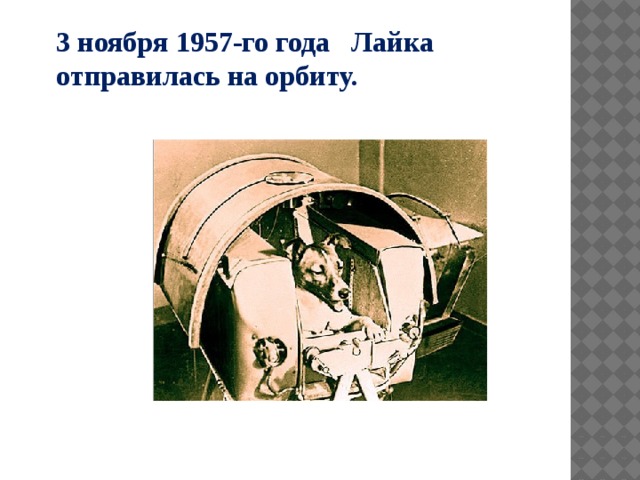 3 ноября 1957-го года Лайка отправилась на орбиту. 