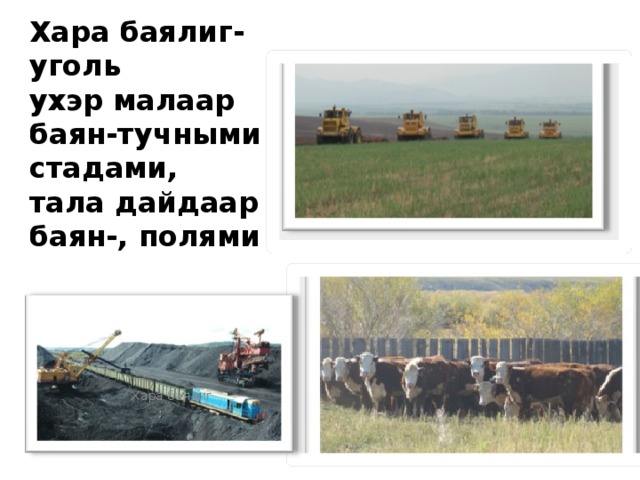 Хара баялиг-уголь  ухэр малаар баян-тучными стадами,  тала дайдаар баян-, полями Хара баялиг 