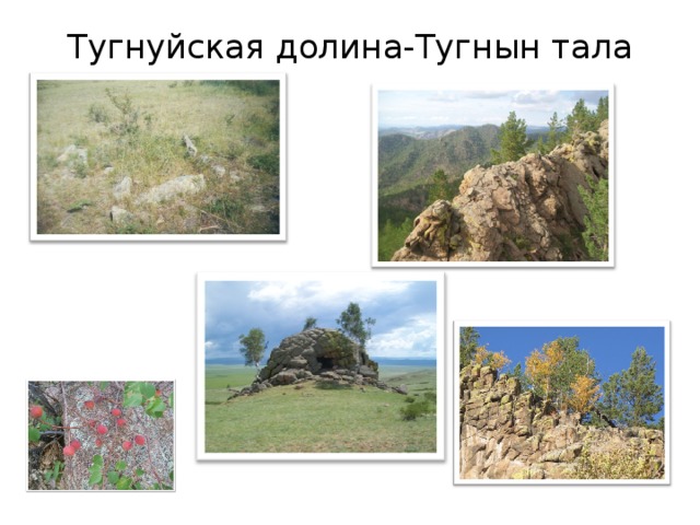 Тугнуйская долина-Тугнын тала   