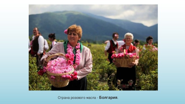 Страна розового масла - Болгария . 