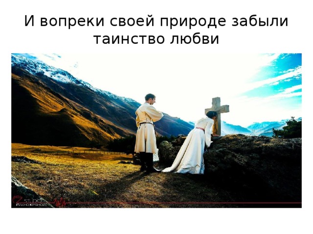 И вопреки своей природе забыли таинство любви 