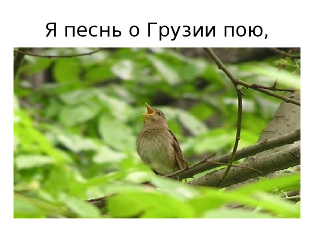 Я песнь о Грузии пою, 