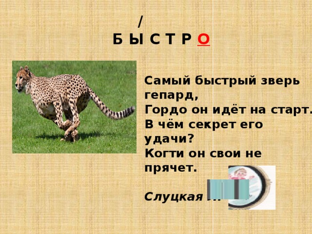 /  Б Ы С Т Р О Самый быстрый зверь гепард,  Гордо он идёт на старт.  В чём секрет его удачи?  Когти он свои не прячет.   Слуцкая Л. 
