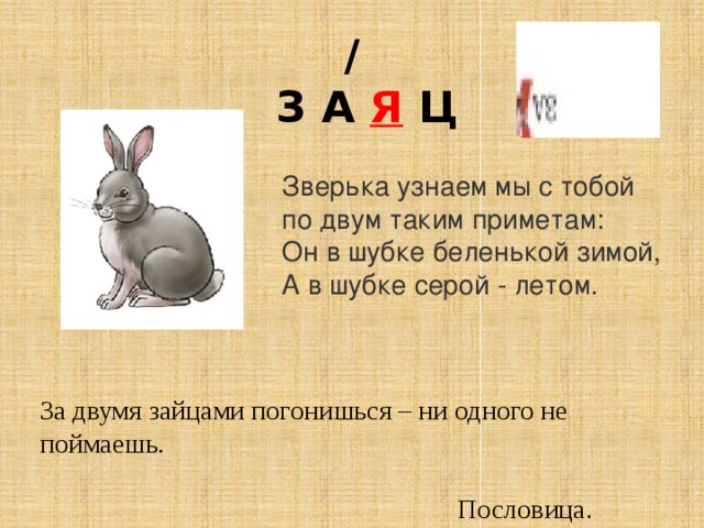 /  З А Я Ц Зверька узнаем мы с тобой    по двум таким приметам:    Он в шубке беленькой зимой,    А в шубке серой - летом.   За двумя зайцами погонишься – ни одного не поймаешь.  Пословица. 