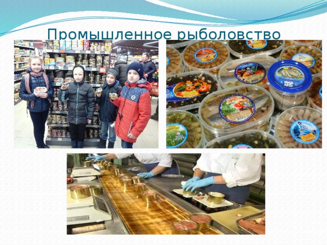 Промышленное рыболовство   