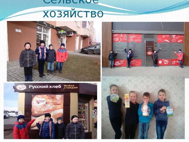 Сельское хозяйство 
