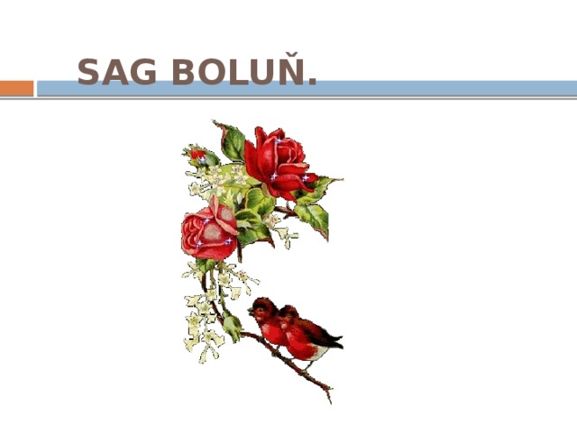 Sag boluň. 