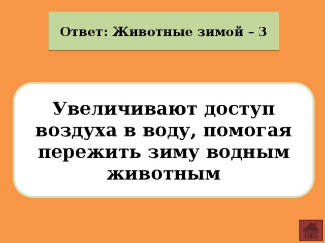 Ответ: Животные зимой – 3 Увеличивают доступ воздуха в воду, помогая пережить зиму водным животным 