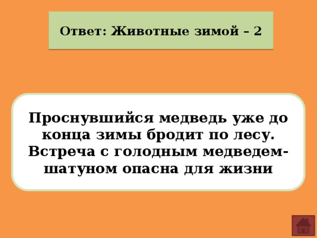 Ответ: Животные зимой – 2 Проснувшийся медведь уже до конца зимы бродит по лесу. Встреча с голодным медведем-шатуном опасна для жизни 