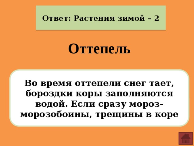 Ответ: Растения зимой – 2 Оттепель Во время оттепели снег тает, бороздки коры заполняются водой. Если сразу мороз- морозобоины, трещины в коре 