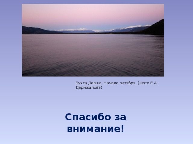 Бухта Давша. Начало октября. (Фото Е.А. Дарижапова) Спасибо за внимание! 