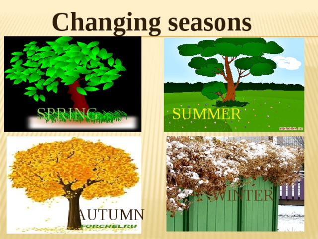 Changing seasons SPRING SUMMER WINTER AUTUMN 