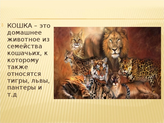 КОШКА – это домашнее животное из семейства кошачьих, к которому также относятся тигры, львы, пантеры и т.д 