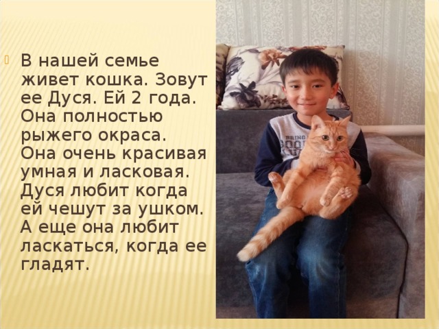 В нашей семье живет кошка. Зовут ее Дуся. Ей 2 года. Она полностью рыжего окраса. Она очень красивая умная и ласковая. Дуся любит когда ей чешут за ушком. А еще она любит ласкаться, когда ее гладят. 